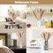 75-Pack Dried Fall Pampas Grass – White & Brown Pampas, Bunny Tail, Reed, Fluffy Dried Flowers for Home, Wedding, Table, Vase, Boho & Modern Decor